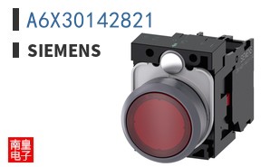 A6X30142821