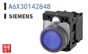 A6X30142848
