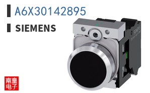 A6X30142895