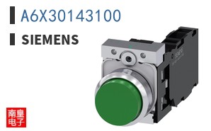 A6X30143100
