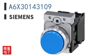 A6X30143109