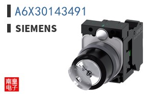 A6X30143491