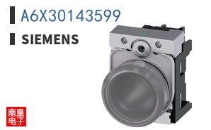 A6X30143599
