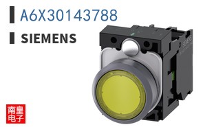 A6X30143788