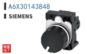 A6X30143848