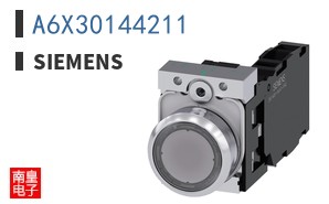 A6X30144211