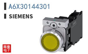 A6X30144301