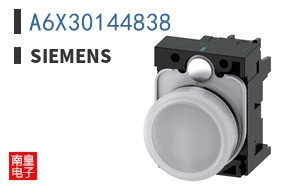 A6X30144838