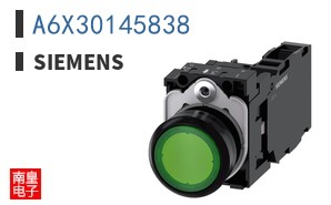 A6X30145838