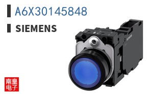 A6X30145848