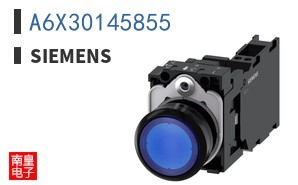 A6X30145855