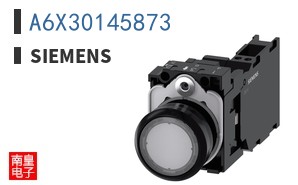 A6X30145873