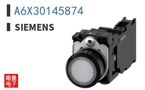 A6X30145874