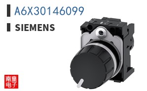 A6X30146099