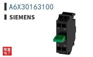 A6X30163100