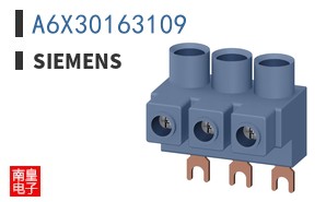 A6X30163109