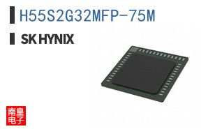 H55S2G32MFP-75M
