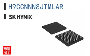 H9CCNNN8JTMLAR