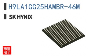 H9LA1GG25HAMBR-46M