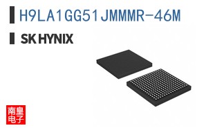 H9LA1GG51JMMMR-46M