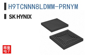 H9TCNNN8LDMM-PRNYM