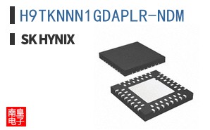 H9TKNNN1GDAPLR-NDM