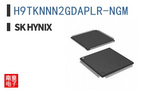 H9TKNNN2GDAPLR-NGM