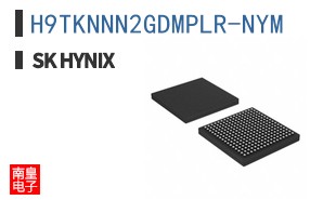 H9TKNNN2GDMPLR-NYM
