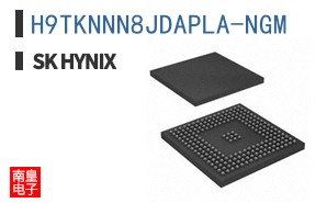 H9TKNNN8JDAPLA-NGM