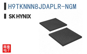 H9TKNNN8JDAPLR-NGM