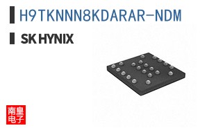 H9TKNNN8KDARAR-NDM