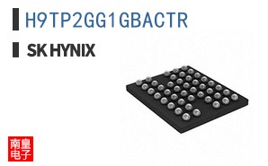 H9TP2GG1GBACTR