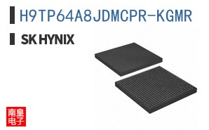 H9TP64A8JDMCPR-KGMR