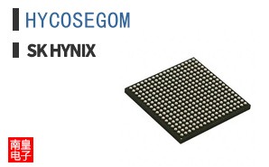 HYCOSEGOM