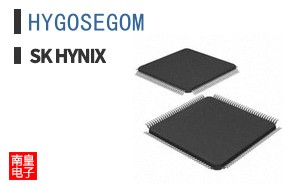 HYGOSEGOM