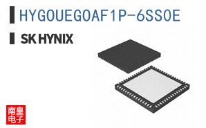 HYGOUEGOAF1P-6SS0E