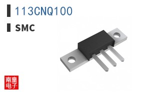 113CNQ100