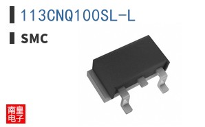 113CNQ100SL-L