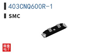403CNQ600R-1