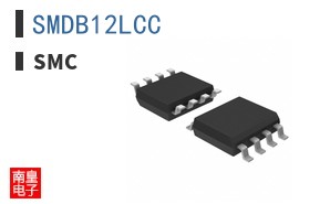 SMDB12LCC