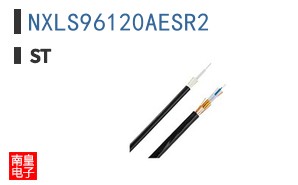 NXLS96120AESR2