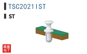 TSC2021IST
