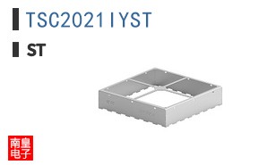 TSC2021IYST