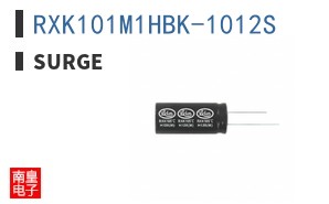 RXK101M1HBK-1012S