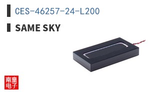CES-46257-24-L200