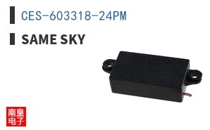 CES-603318-24PM