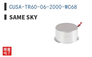 CUSA-TR60-06-2000-WC68