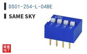 DS01-254-L-04BE