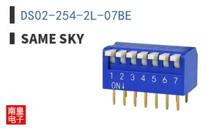 DS02-254-2L-07BE