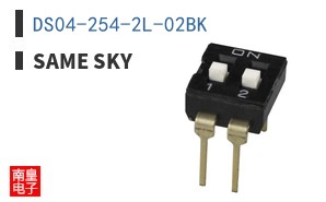 DS04-254-2L-02BK
